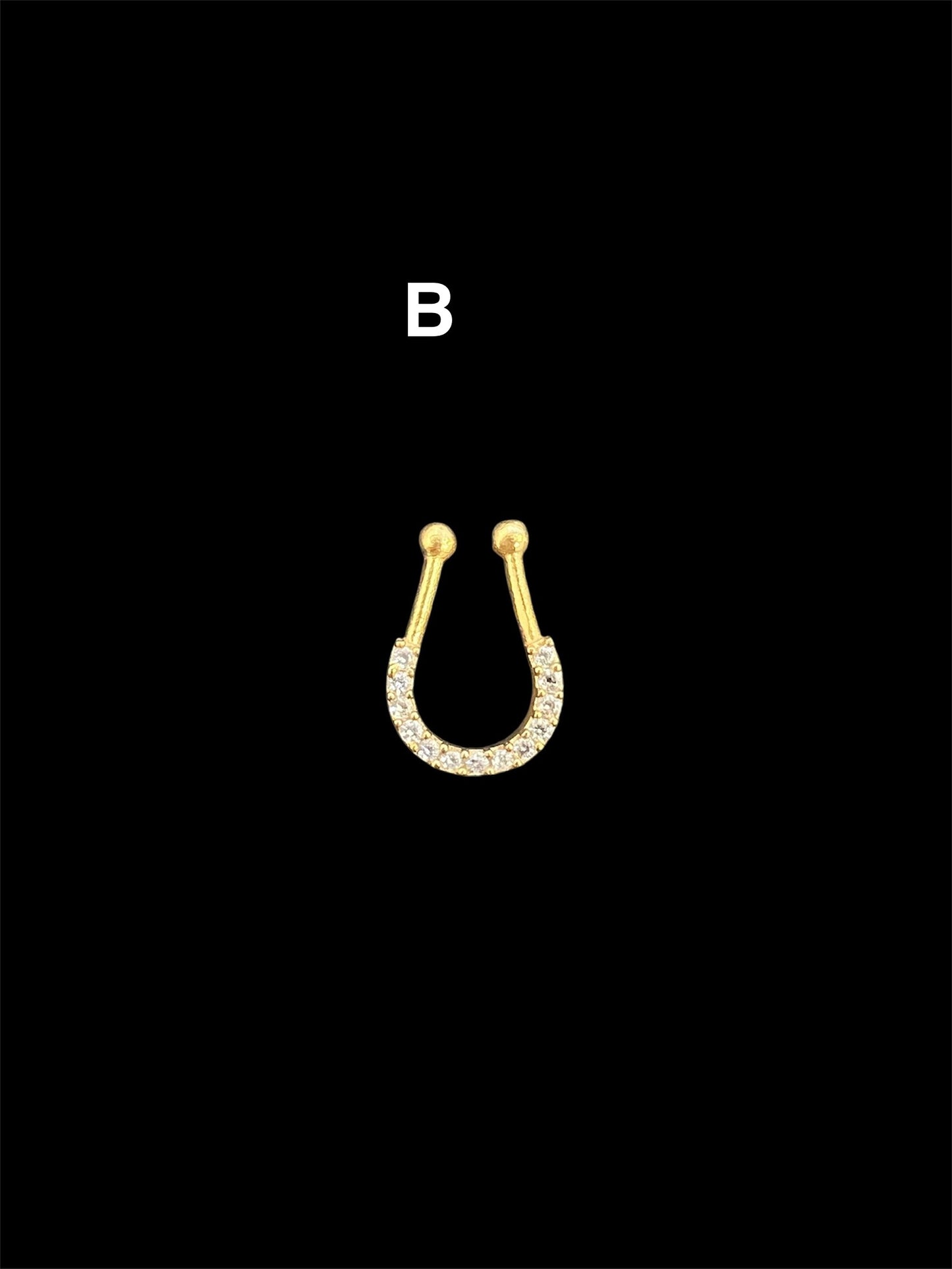 Septum Ring