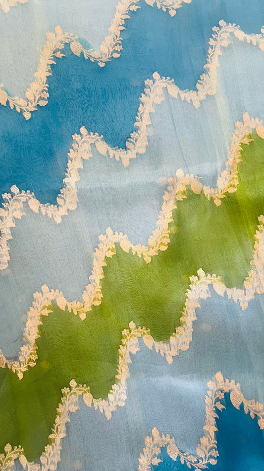 Banaras Rangkat Organza Saree